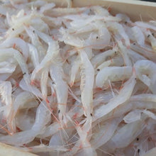 Cargar imagen en el visor de la galería, Gamba cristal de Huelva