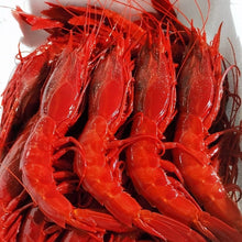 Cargar imagen en el visor de la galería, Carabinero Extra