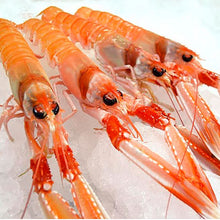 Cargar imagen en el visor de la galería, Cigala Extra de Huelva