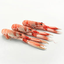 Cargar imagen en el visor de la galería, Cigala Extra de Huelva