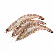 Cargar imagen en el visor de la galería, Langostino tigre Extra de Sanlúcar